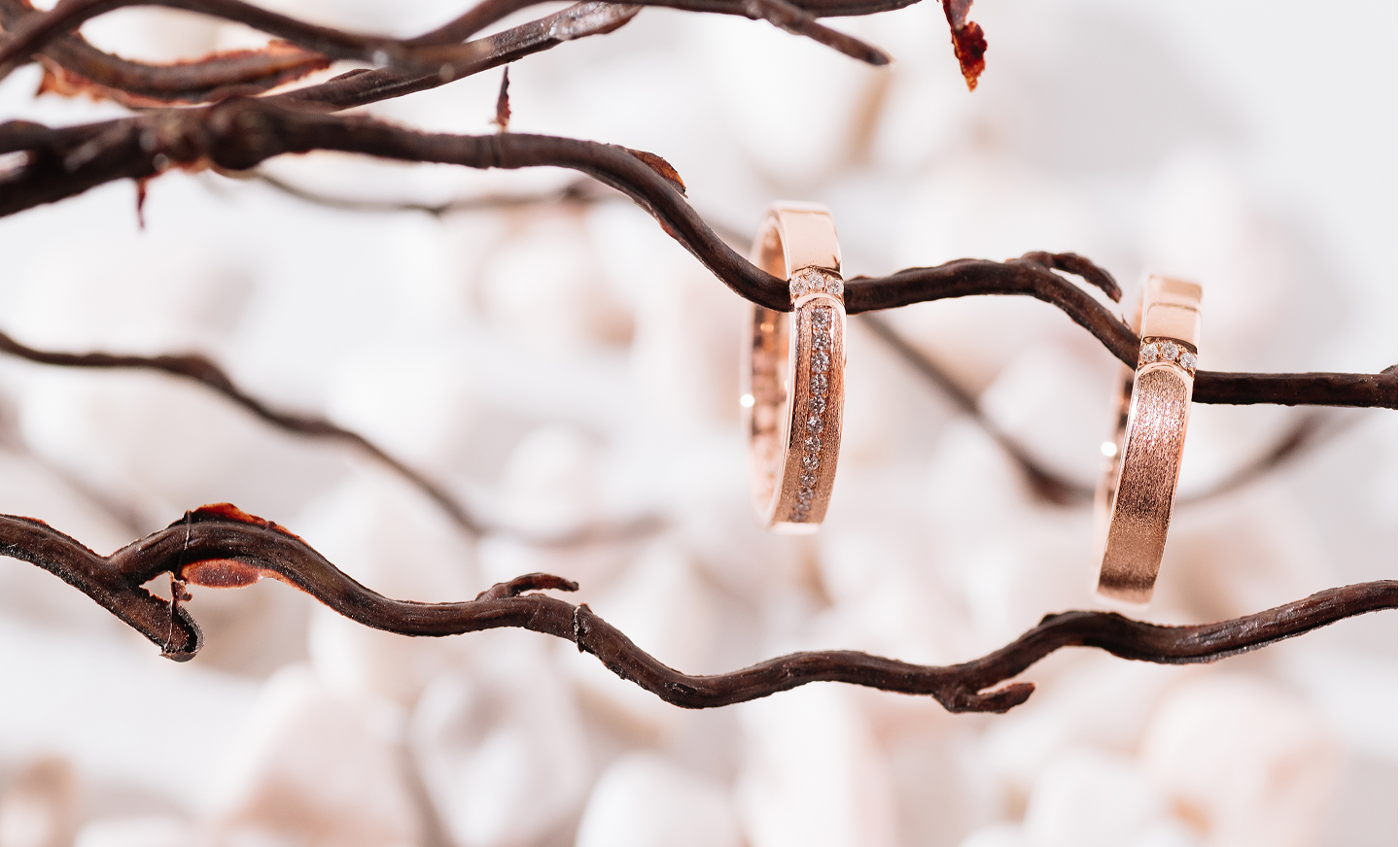 Wedding rings on paper background